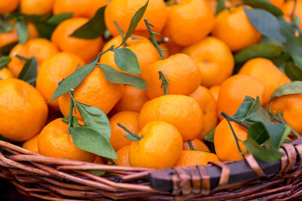 delicious fresh tangerines in a basket agriculture background basket christmas clementine